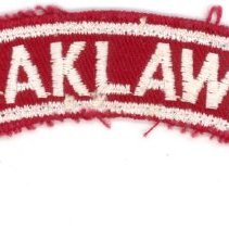 Oak Lawn Boy Scout Patch