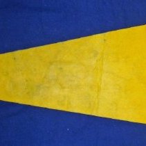 Covington School Pennant