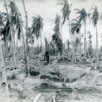After a Bombing; Philippine Islands; World War 2