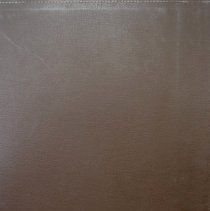 Oak Lawn P.T.A. Scrapbook