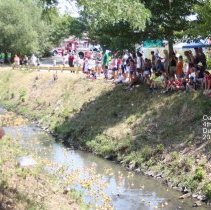 Oak Lawn Fourth of July Duck Race