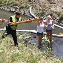 Oak Lawn Fourth of July Duck Race