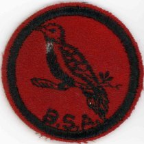 Oak Lawn Boy Scout Patch