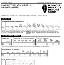 Community High School Distrit 218 Report Card, 2004