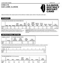 Community High School District 218 Report Card, 2007