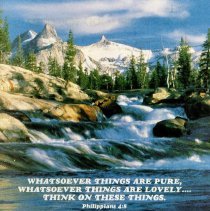 Oak Lawn Bible Church Bulletin, 3/11/1990