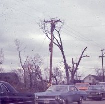 Aftermath of the 1967 Oak Lawn Tornado