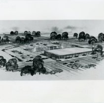 Artist's Rendering of Swimming Pool