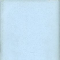 Adopted Village Budget, 1969