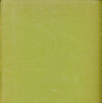 Adopted Village Budget, 1972