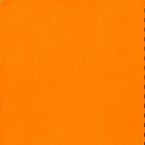 Adopted Village Budget, 1974