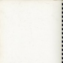 Adopted Village Budget, 1979