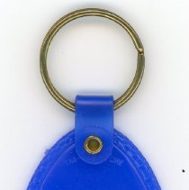 Evergreen Volkswagen Keychain