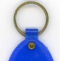 Evergreen Volkswagen Keychain