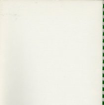 Adopted Village Budget, 1984