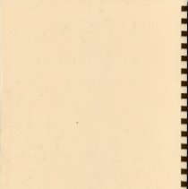 Adopted Village Budget, 1990