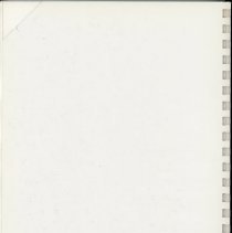 Adopted Village Budget, 1991