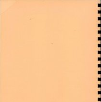 Adopted Village Budget, 1993