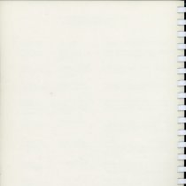 Adopted Village Budget, 1999