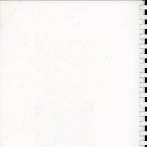 Adopted Village Budget, 2001