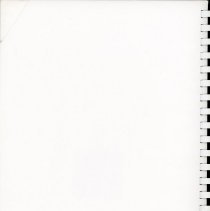 Adopted Village Budget, 2002