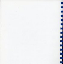 Adopted Village Budget, 2004