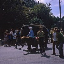 Oak Lawn 60th Anniversary Parade