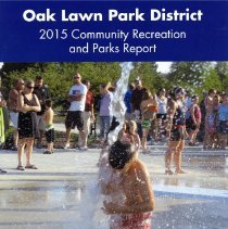 Park District Community Report, 2015