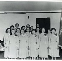 V.F.W. Johnson-Phelps LAdies Auxiliary to Post #5220