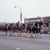 1983 Oak Lawn Fest Parade