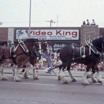 1983 Oak Lawn Fest Parade