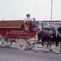 1983 Oak Lawn Fest Parade