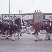 1983 Oak Lawn Fest Parade