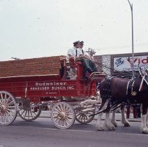 1983 Oak Lawn Fest Parade