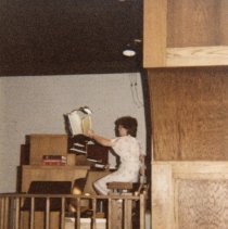 A Weekend in the Life of Oak Lawn