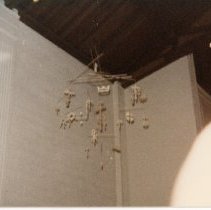 A Weekend in the Life of Oak Lawn