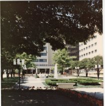 A Weekend in the Life of Oak Lawn