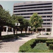 A Weekend in the Life of Oak Lawn