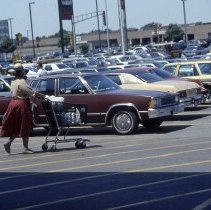 A Weekend in the Life of Oak Lawn