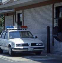 A Weekend in the Life of Oak Lawn