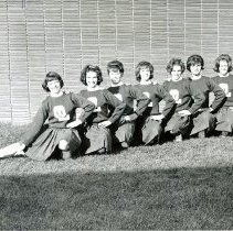 Oak Lawn Community High School Cheerleaders