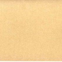 Thomas V. Powell Promotional Bumper Sticker