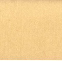 Thomas V. Powell Promotional Bumper Sticker