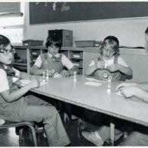 Oak Lawn Brownie Troop 227
