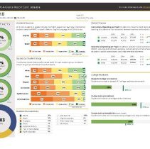 Community H.S. District 218 Report Card, 2015