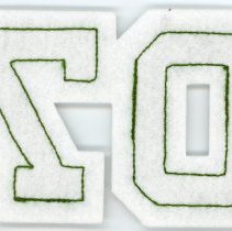 Oak Lawn Community High School Patch