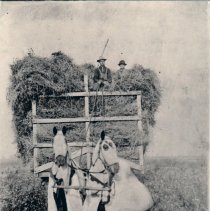 John Zander on  haywagon