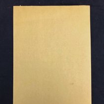 World Jr. Wrestling Championships Poster