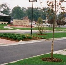 Raymond Avenue Redevelopment