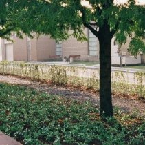 Village Green Development